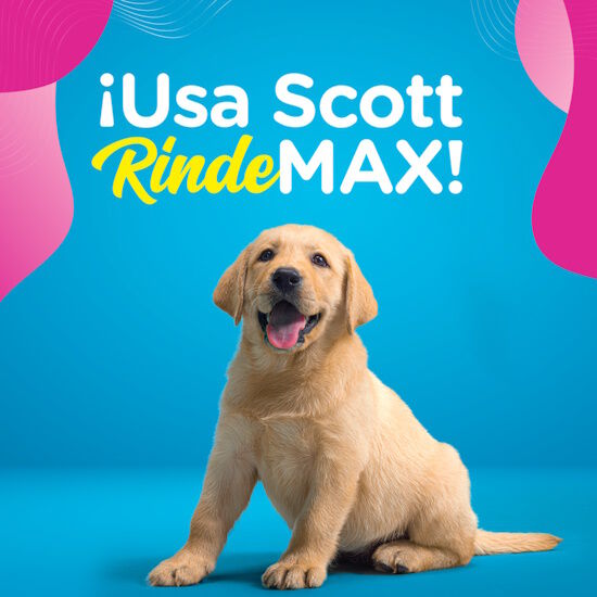 Papel Higiénico Scott Rindemax Doble Hoja 12R