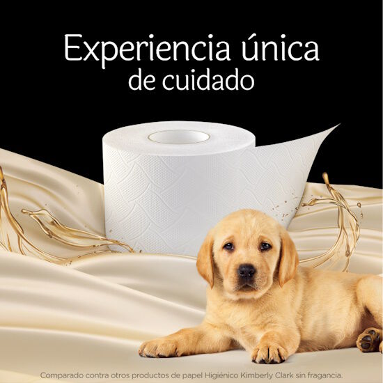 Papel Higiénico Scott Esencias Doble Hoja 4R