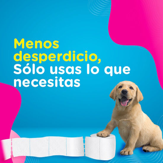 Papel Higiénico Scott Rindemax Doble Hoja 12R